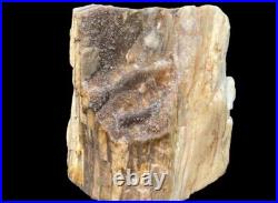 New Find! Incredible Druzy Crystal Covered Petrified Wood Opalized Agate 558g