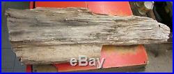Nice Petrified Wood Log / Stump approx. 50 pounds/Lbs & 36 long