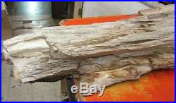 Nice Petrified Wood Log / Stump approx. 50 pounds/Lbs & 36 long
