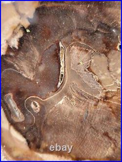 Oak Deschutes canyon, Oregon Columbia group basalt, Miocene