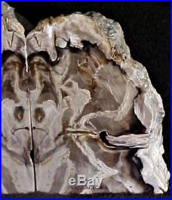 One of A Kind in The World Devil Image in Petrified Wood Bookends