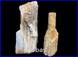 Opal Agate Petrified Wood Two Free Standing Towers Beautiful Coloration RARE