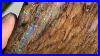 Opalized_Petrified_Wood_Virgin_Valley_Nevada_USA_Fossil_Fossiloftheday_Fossilwood_01_jur