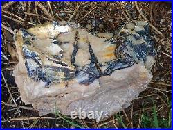 Opalized Wood Petrified Nevada Deserts Opal White Gold Black HUGE 45 LBS Sequoia