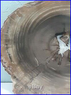 Oregon Petrified Wood Slab (10x8) Beautiful Piece with Druzy Quartz Center+++
