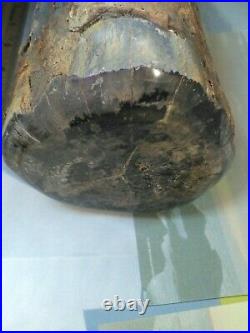 Oregon Rough Petrified Wood Round- over 5 lbs. Total weight