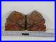 PETRIFIED_WOOD_BOOKENDS_Cutting_material_OLD_MINE_HOLBROOK_ARIZONA_01_rz