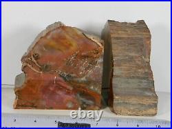 PETRIFIED WOOD (BOOKENDS-Cutting material) OLD MINE HOLBROOK, ARIZONA
