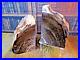 PETRIFIED_WOOD_BOOKENDS_Pair_Each_6_5_x_4_x_2_75_4_5_lbs_FELTED_GLOSS_ROUGH_01_ods