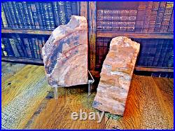PETRIFIED WOOD BOOKENDS Pair Each 6.5 x 4 x 2.75 4.5 lbs FELTED GLOSS ROUGH