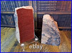 PETRIFIED WOOD BOOKENDS Pair Each 6.5 x 4 x 2.75 4.5 lbs FELTED GLOSS ROUGH