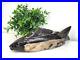 PETRIFIED_WOOD_FISH_Stone_Carved_Fish_Stone_Fish_Carving_Fossil_Wood_Fish_01_yql