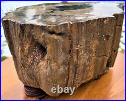 POLISHED UTAH PETRIFIED TREE WOOD SLAB, 10x 7x 5 Tall 22.5 lbs DISPLAY PIECE