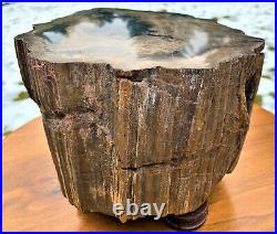 POLISHED UTAH PETRIFIED TREE WOOD SLAB, 10x 7x 5 Tall 22.5 lbs DISPLAY PIECE