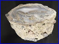 PURE Agate Fortification! BIG Polished Wiggins Petrified WOOD Fossil Wy 4224gr