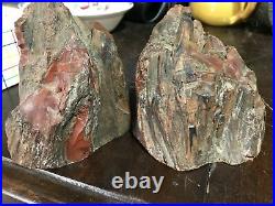 Pair Incredibly Beautiful Petrified Wood Bookends Polished Stone Brown Gold