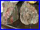 Pair_Incredibly_Beautiful_Petrified_Wood_Bookends_Polished_Stone_Brown_Gold_01_vl