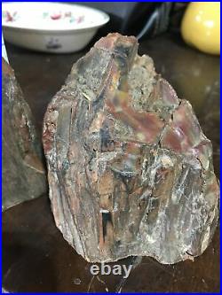 Pair Incredibly Beautiful Petrified Wood Bookends Polished Stone Brown Gold