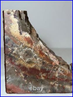 Pair Petrified Wood Bookends Polished 9 Lbs 6 Tall Nice