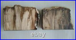 Pair Polished Felted Petrified Wood Bookends Heavy Over 12 Lbs weight