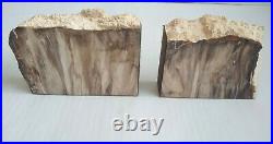 Pair Polished Felted Petrified Wood Bookends Heavy Over 12 Lbs weight