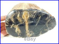 Perfect BARK! On This BIG Polished Petrified Wood Fossil From Utah! 3965gr e