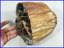 Perfect BARK! On This HUGE Polished Petrified Wood Fossil From Utah! 9555gr e