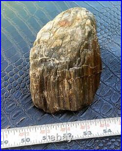 Perfect Piece Of Natural Rough Agatized Petrified Wood