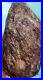 Perfectly_Preserved_Rough_Natural_Petrified_Burl_Wood_4_18lbs_01_tbx