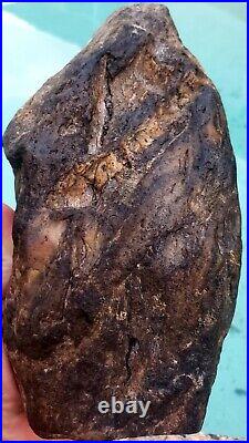 Perfectly Preserved Rough Natural Petrified Burl Wood 4.18lbs