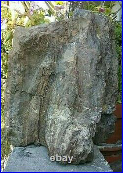 Petrified 21 Lbs Fossilized Bark On Wood Stump Section 8x8x8.5 Tree Trunk