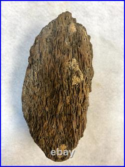 Petrified Black Palm Wood from Tropical Asia Three Nice Specimens Very Rare