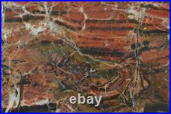 Petrified Dadoxylon Wood Lockheart Basin Utah Polished Complete Round
