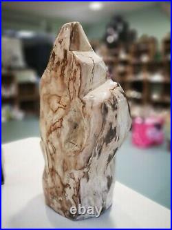 Petrified Fossil Branch Tree Wood Indonesia STUNNING 6.9Kg WAS £141 now £98