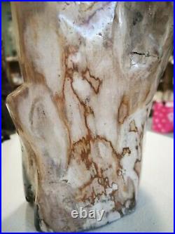 Petrified Fossil Branch Tree Wood Indonesia STUNNING 6.9Kg WAS £141 now £98