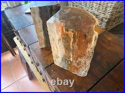 Petrified Fossilised Wood Book Ends 14.2kg