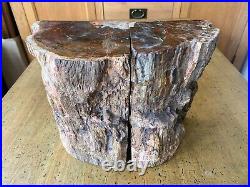 Petrified Fossilised Wood Book Ends 14.2kg