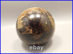 Petrified Golden Oak Wood 2.4 inch Stone Sphere Fossil USA #O1