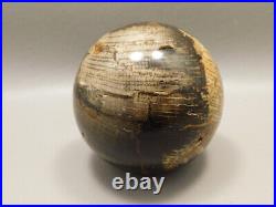 Petrified Golden Oak Wood 2.4 inch Stone Sphere Fossil USA #O1
