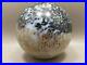 Petrified_Palm_Wood_Root_Ball_2_75_inch_Sphere_Fossil_Indonesia_O13_01_wad