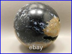Petrified Palm Wood Root Ball 2.75 inch Sphere Fossil Indonesia #O13