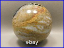 Petrified Palm Wood Root Ball 2.75 inch Sphere Fossil Indonesia #O13