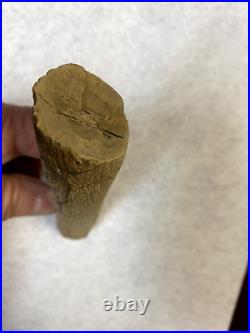 Petrified WOOD LIMB CASTS of Sunnyside WA x 4 Natural + 1 Polished End