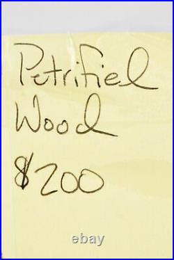 Petrified Wood 6-5/8 x 4-5/8 x 1-5/8