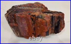 Petrified Wood, 6 x 6 x 4, 7lbs 13 ozs, slice slab fossil piece