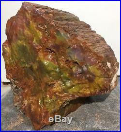 Petrified Wood Arizona Rainbow Rare Natural Fossil Rough Raw Solid Slab 104 Lbs