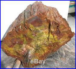 Petrified Wood Arizona Rainbow Rare Natural Fossil Rough Raw Solid Slab 104 Lbs