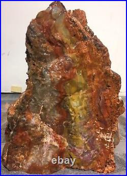 Petrified Wood Arizona Rainbow Rare Natural Fossil Rough Raw Solid Slab 95 Lbs