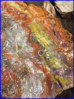 Petrified Wood Arizona Rainbow Rare Natural Fossil Rough Raw Solid Slab 95 Lbs