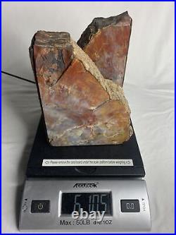 Petrified Wood Book Ends 6LBS 10.5 OZ In Great Shape